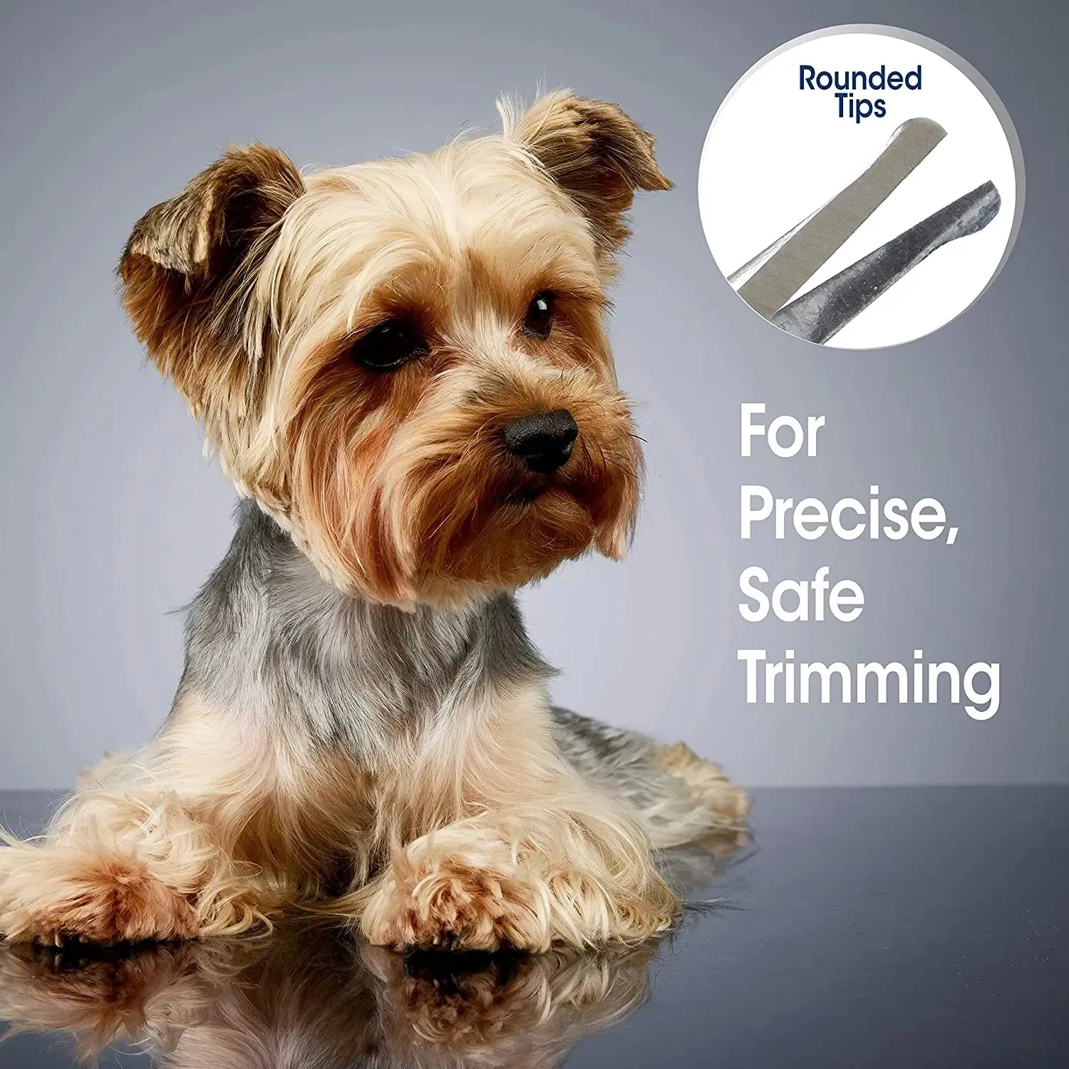 Four Paws Magic Coat Ear & Eye All Dogs Grooming Scissors