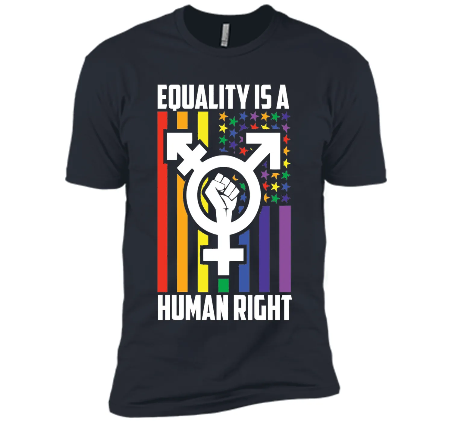LGBT Pride Shirts Equality is a Human Right gift T-Shirt t-shirt