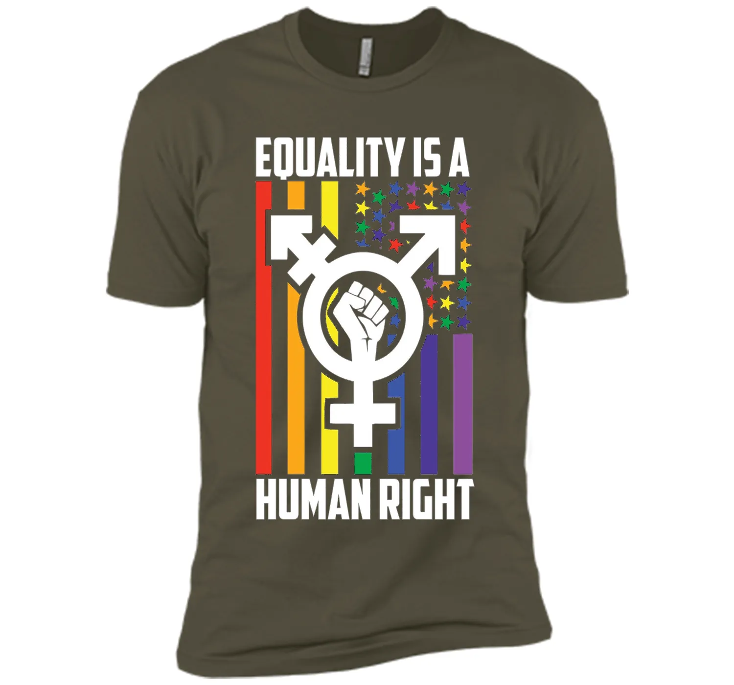 LGBT Pride Shirts Equality is a Human Right gift T-Shirt t-shirt