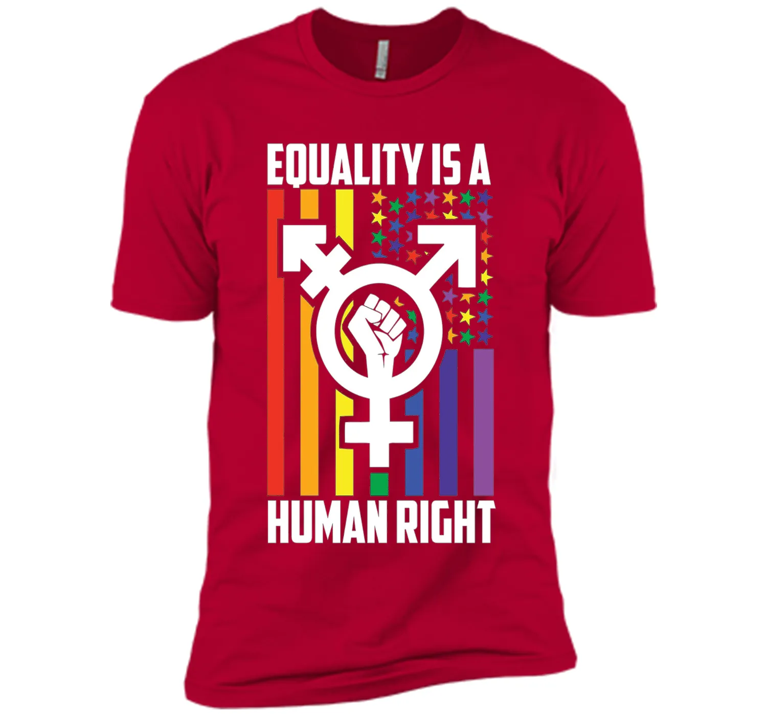 LGBT Pride Shirts Equality is a Human Right gift T-Shirt t-shirt