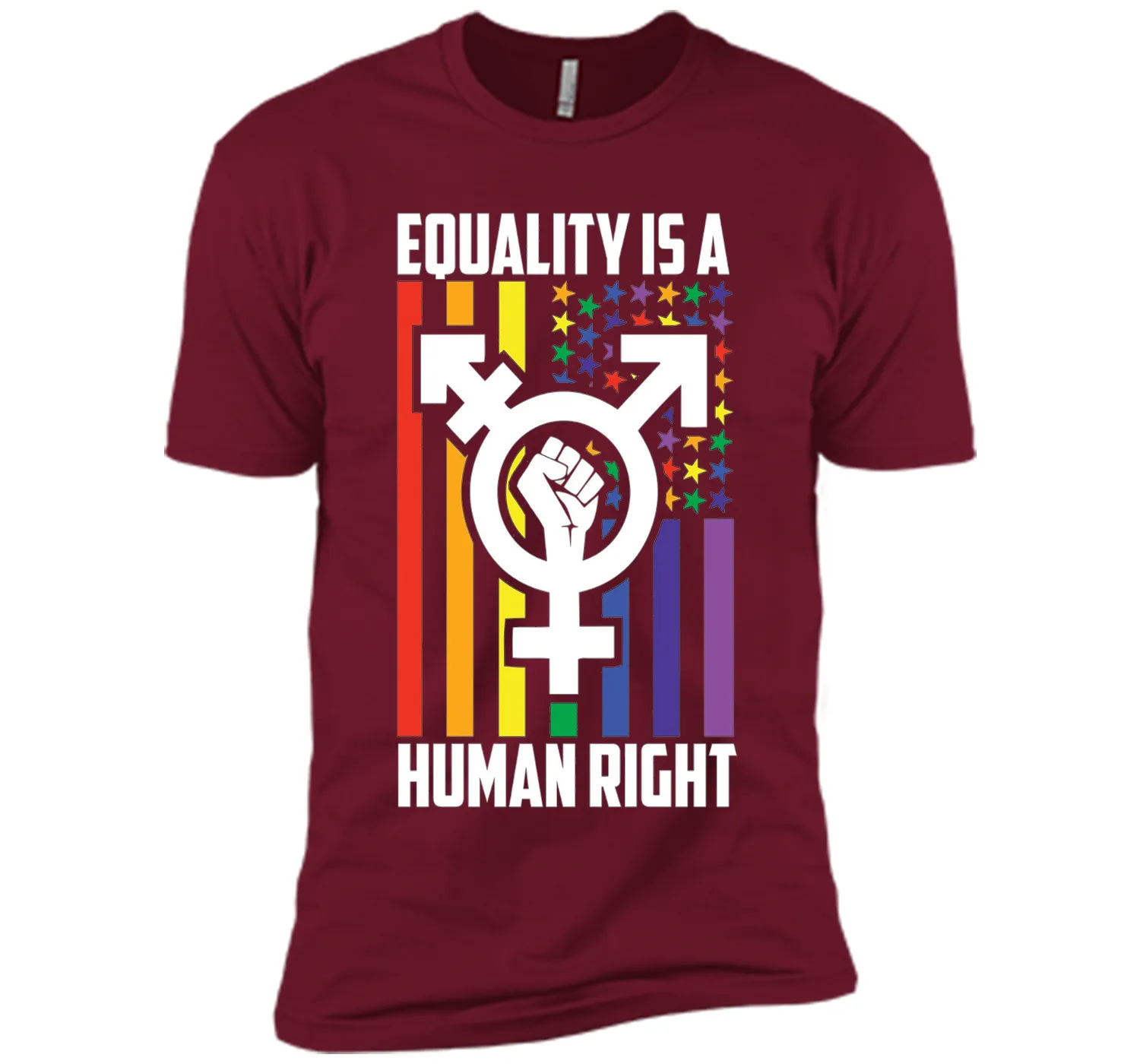LGBT Pride Shirts Equality is a Human Right gift T-Shirt t-shirt