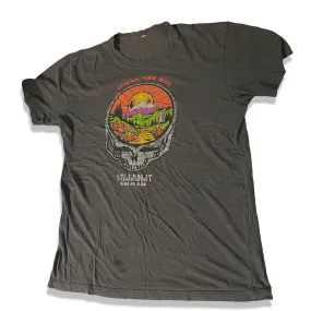 Vintage men's dark grey maintain your brain steam boat colorado tees in M